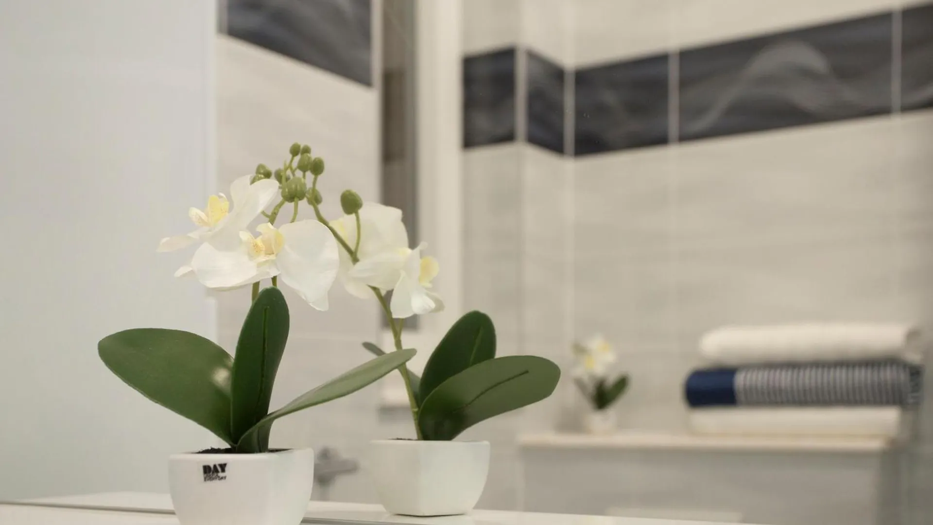 Apartments Seville Split Croatia